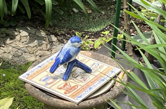 発表会の準備は1年前から始まります🎹